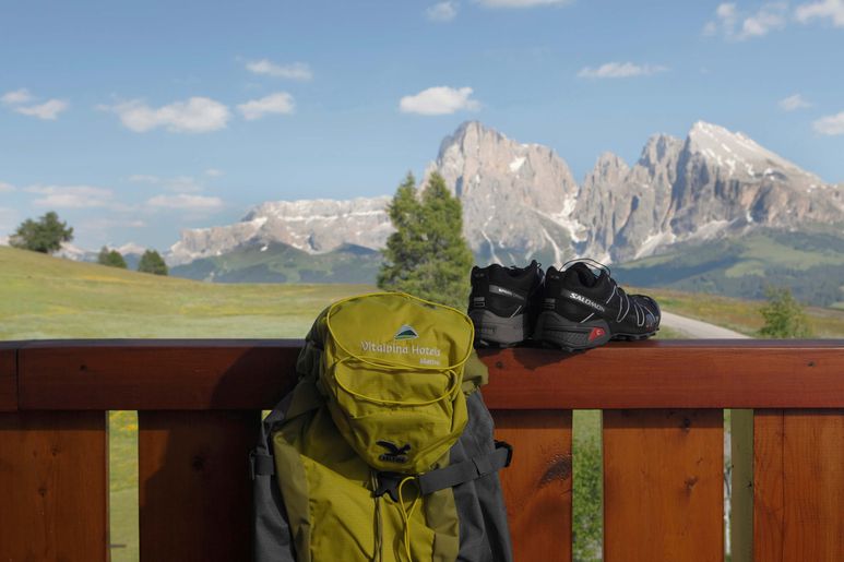 Vitalpina Hotels Vitalpina Hotels